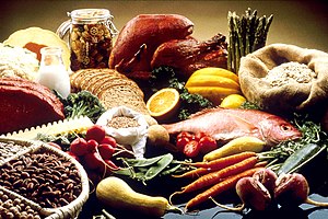 1. Wide Variety of Food Sources