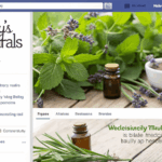 Facebook Baileysmaturals.com