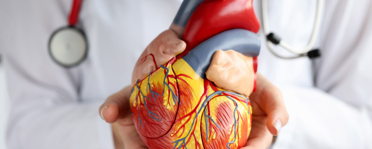 The Role of Regular Cardiology Check-ups for Heart Health