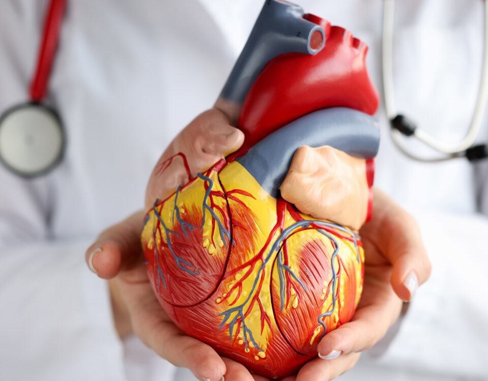 The Role of Regular Cardiology Check-ups for Heart Health