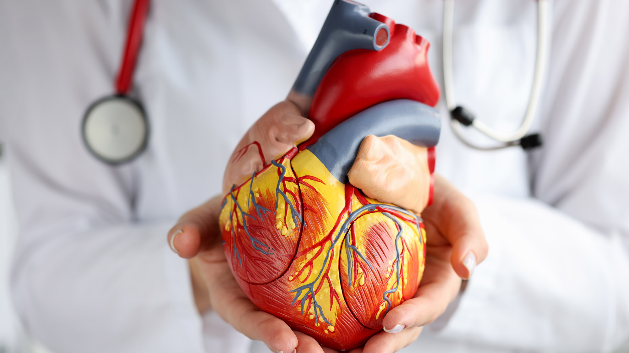 The Role of Regular Cardiology Check-ups for Heart Health