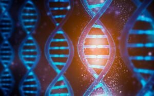 Understanding the Genetic Counseling Process