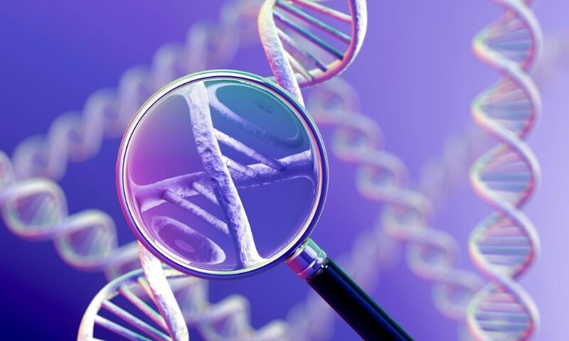 Understanding the Genetic Counseling Process